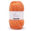 Yarn and Colors Charming Cantaloupe