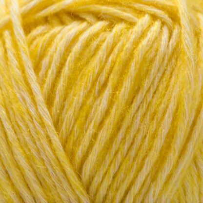 Yarn and Colors Charming Sunglow