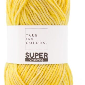 Yarn and Colors Super Charming