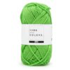 Yarn and Colors Epic Pesto